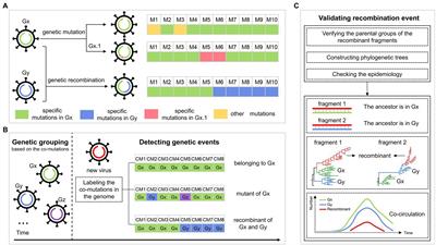 Mapping Genetic Events of SARS-CoV-2 Variants